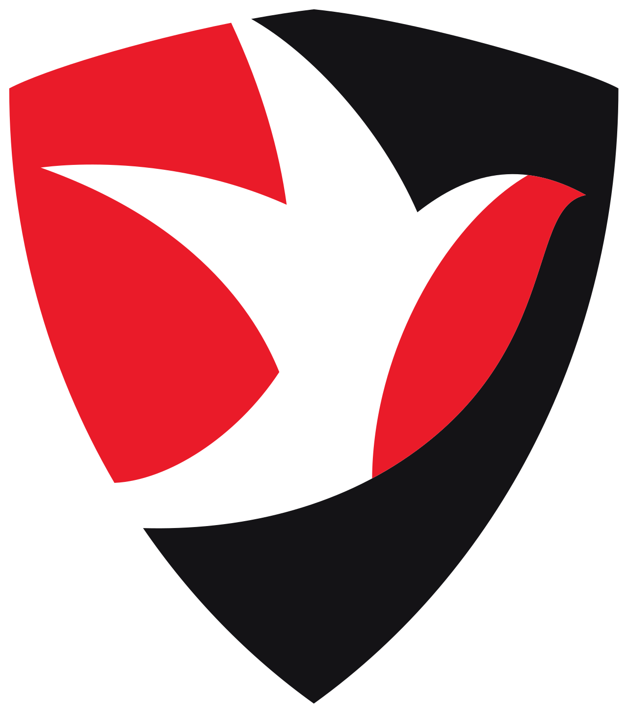 Cheltenham Town FC