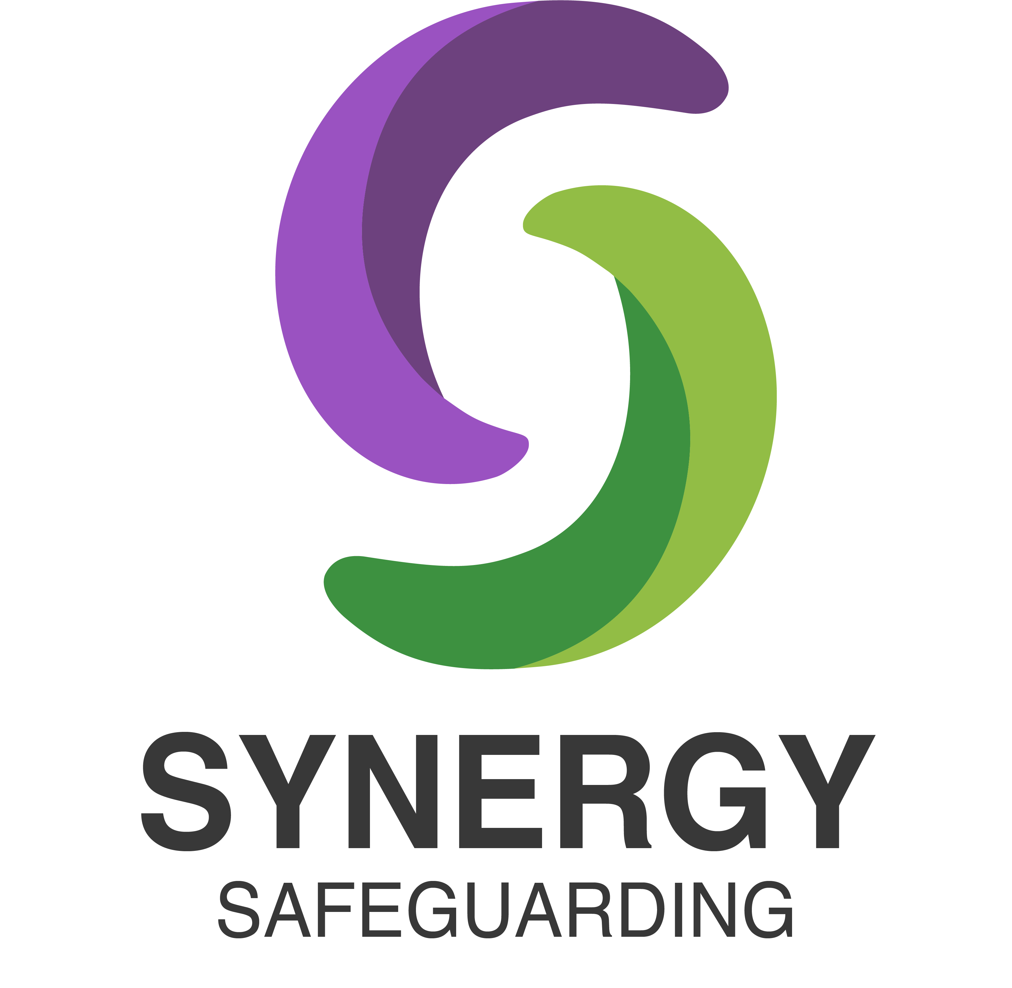 Synergy Safeguarding logo