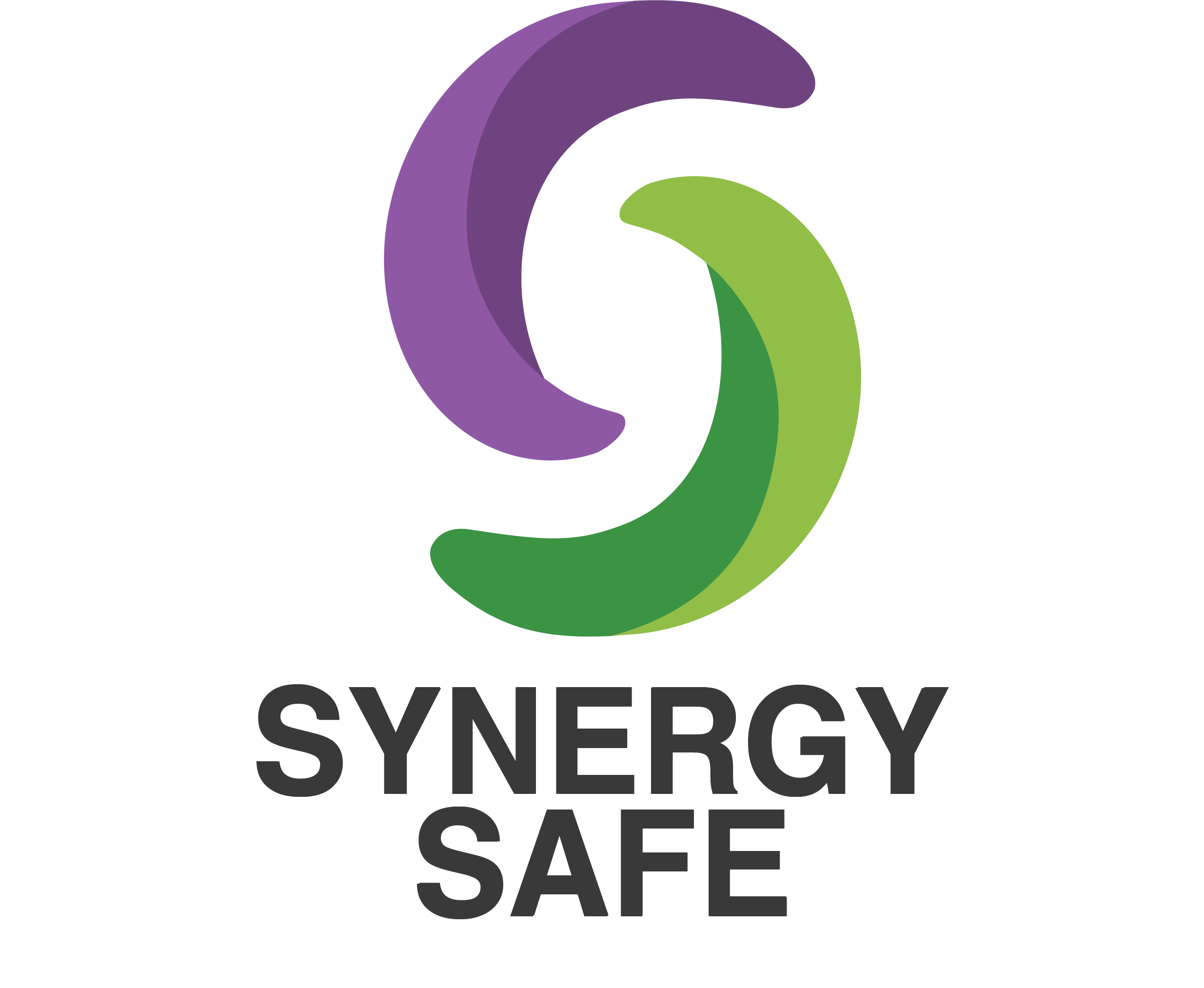 Synergy Safeguarding logo